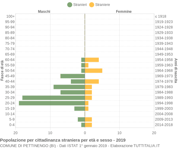 Grafico cittadini stranieri - Pettinengo 2019