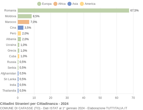 Grafico cittadinanza stranieri - Cafasse 2024