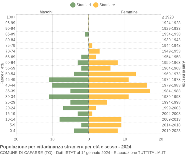 Grafico cittadini stranieri - Cafasse 2024