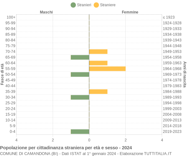 Grafico cittadini stranieri - Camandona 2024