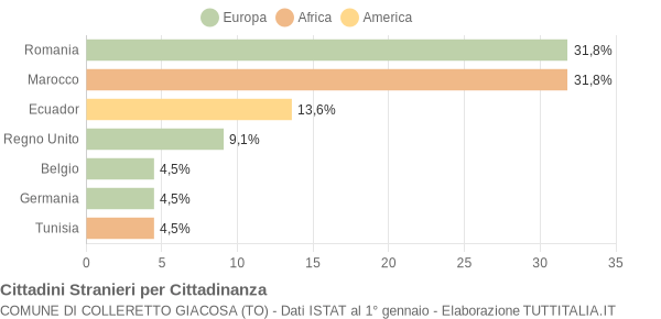 Grafico cittadinanza stranieri - Colleretto Giacosa 2005