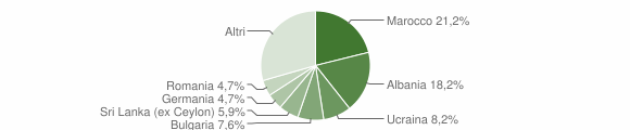 Grafico cittadinanza stranieri - Lesa 2012