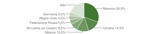 Grafico cittadinanza stranieri - Lesa 2015