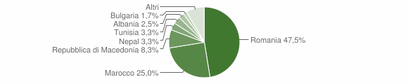 Grafico cittadinanza stranieri - Priocca 2013
