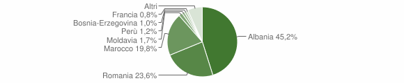 Grafico cittadinanza stranieri - Susa 2011