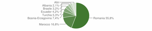 Grafico cittadinanza stranieri - Rondissone 2008