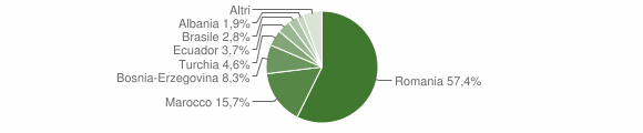 Grafico cittadinanza stranieri - Rondissone 2009
