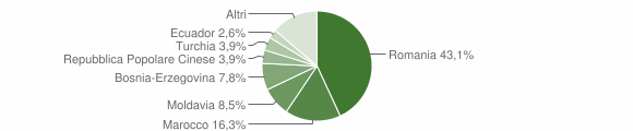 Grafico cittadinanza stranieri - Rondissone 2013