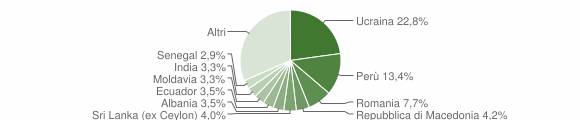 Grafico cittadinanza stranieri - Stresa 2013