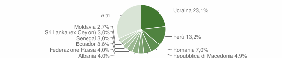 Grafico cittadinanza stranieri - Stresa 2015