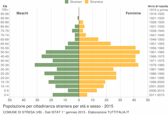 Grafico cittadini stranieri - Stresa 2015