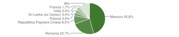 Grafico cittadinanza stranieri - Sala Biellese 2009