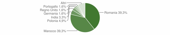 Grafico cittadinanza stranieri - Sala Biellese 2013