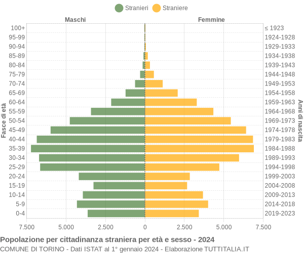 Grafico cittadini stranieri - Torino 2024