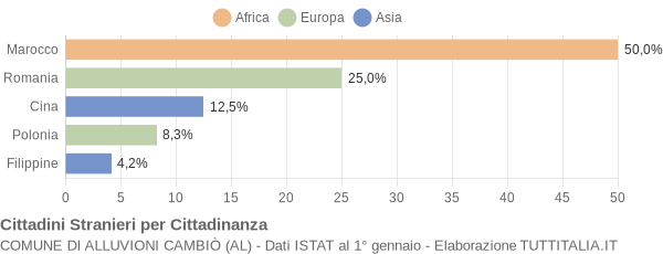 Grafico cittadinanza stranieri - Alluvioni Cambiò 2004