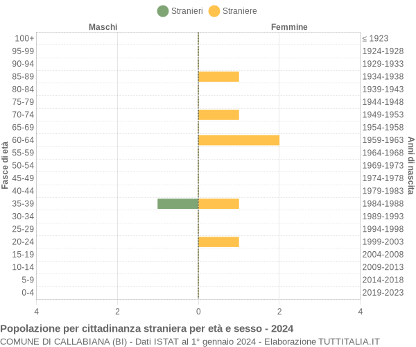 Grafico cittadini stranieri - Callabiana 2024