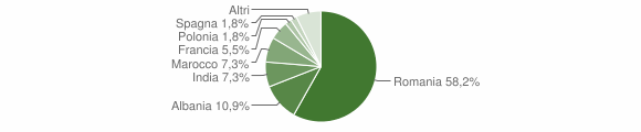 Grafico cittadinanza stranieri - Vische 2011