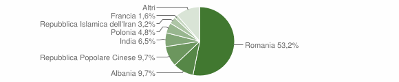 Grafico cittadinanza stranieri - Vische 2013