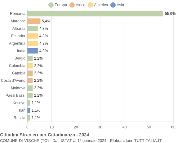 Grafico cittadinanza stranieri - Vische 2024