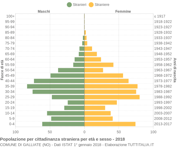 Grafico cittadini stranieri - Galliate 2018