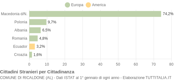 Grafico cittadinanza stranieri - Ricaldone 2004