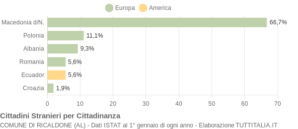 Grafico cittadinanza stranieri - Ricaldone 2005