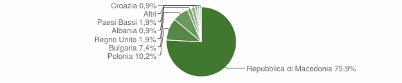 Grafico cittadinanza stranieri - Ricaldone 2010