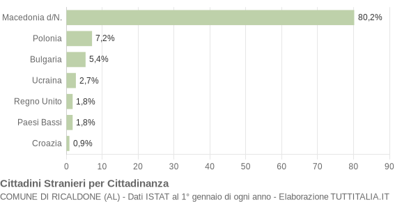 Grafico cittadinanza stranieri - Ricaldone 2011