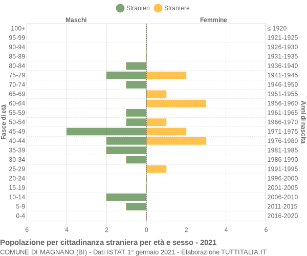 Grafico cittadini stranieri - Magnano 2021