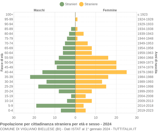 Grafico cittadini stranieri - Vigliano Biellese 2024