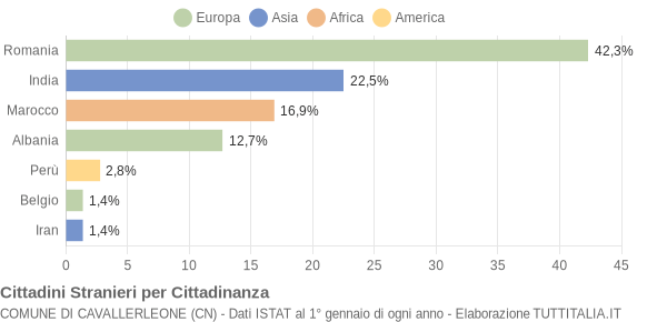 Grafico cittadinanza stranieri - Cavallerleone 2013