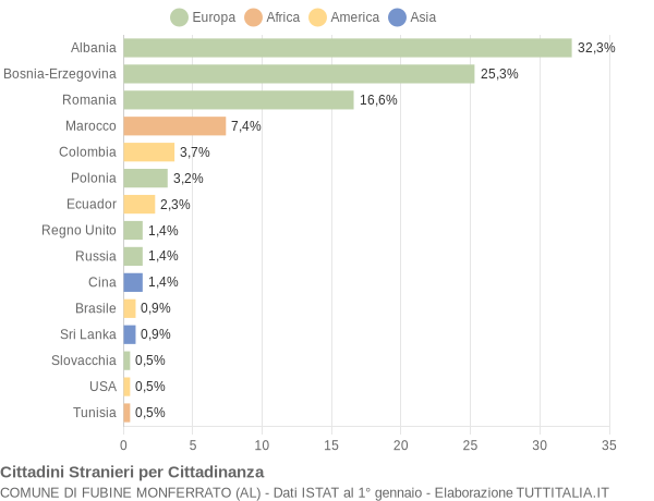 Grafico cittadinanza stranieri - Fubine Monferrato 2009