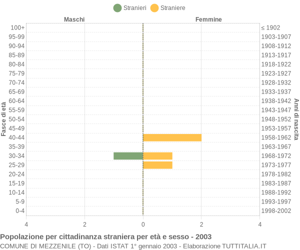 Grafico cittadini stranieri - Mezzenile 2003