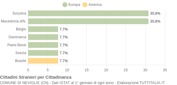 Grafico cittadinanza stranieri - Neviglie 2005