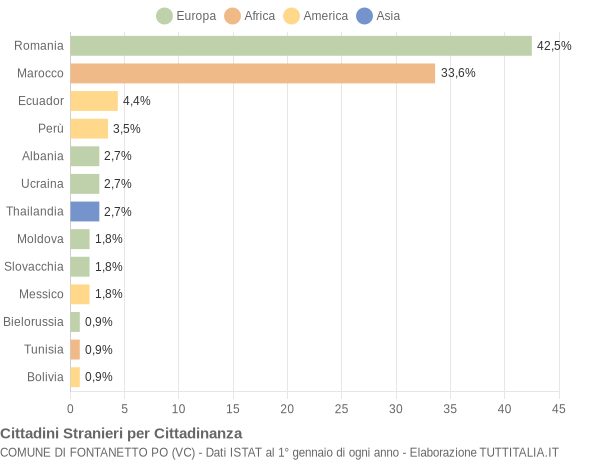 Grafico cittadinanza stranieri - Fontanetto Po 2013