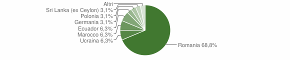 Grafico cittadinanza stranieri - Gremiasco 2014