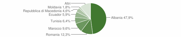 Grafico cittadinanza stranieri - Farigliano 2011