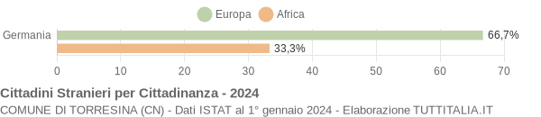 Grafico cittadinanza stranieri - Torresina 2024