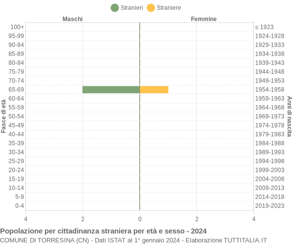 Grafico cittadini stranieri - Torresina 2024