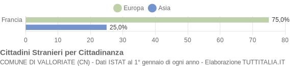 Grafico cittadinanza stranieri - Valloriate 2013