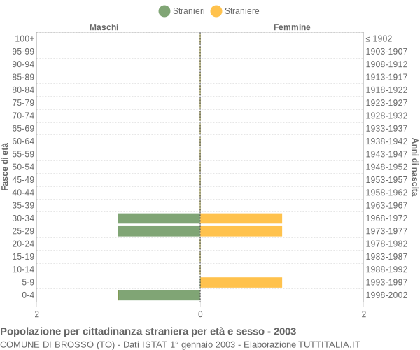 Grafico cittadini stranieri - Brosso 2003