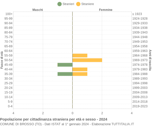 Grafico cittadini stranieri - Brosso 2024