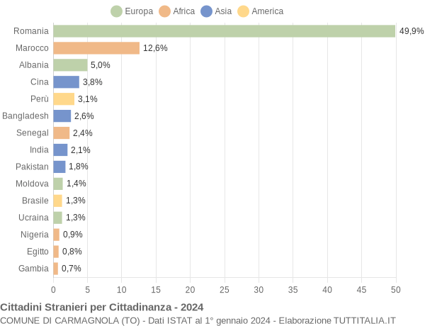 Grafico cittadinanza stranieri - Carmagnola 2024