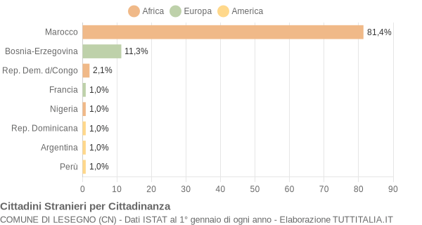 Grafico cittadinanza stranieri - Lesegno 2005