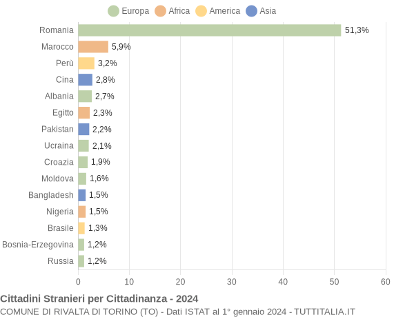 Grafico cittadinanza stranieri - Rivalta di Torino 2024