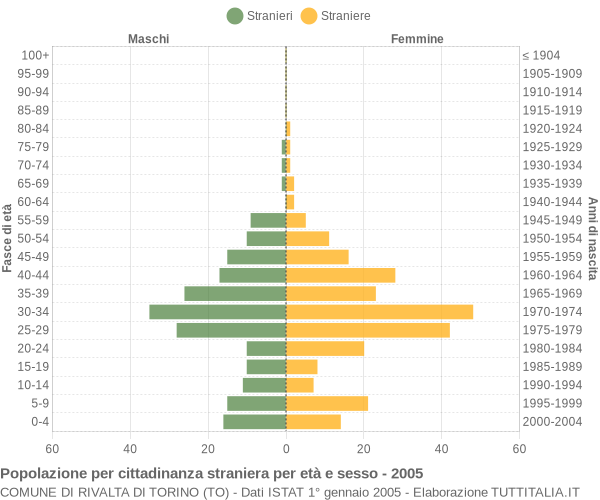 Grafico cittadini stranieri - Rivalta di Torino 2005