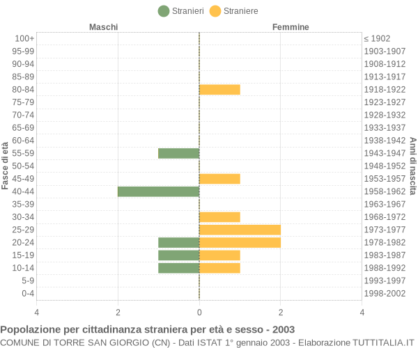 Grafico cittadini stranieri - Torre San Giorgio 2003