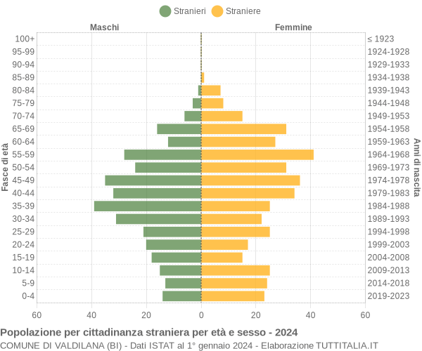 Grafico cittadini stranieri - Valdilana 2024