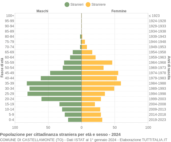 Grafico cittadini stranieri - Castellamonte 2024