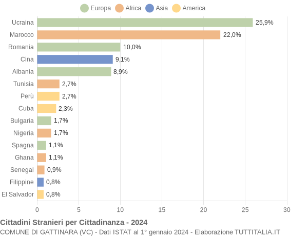 Grafico cittadinanza stranieri - Gattinara 2024